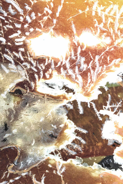 Hostettler_ORGANISMEN II